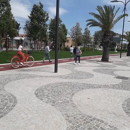 Oldbia Olbia